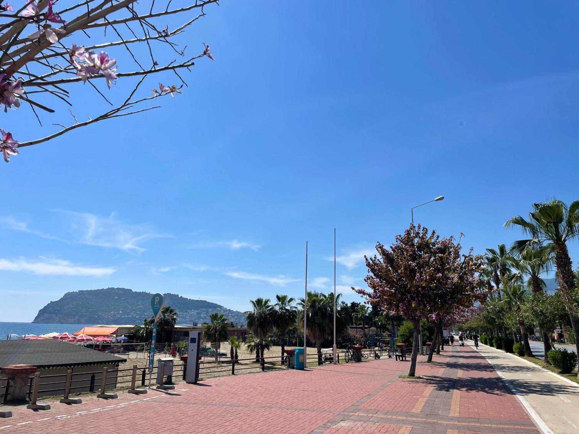 Sa Apartments! Sea And Mountain View 2bd Duplex *